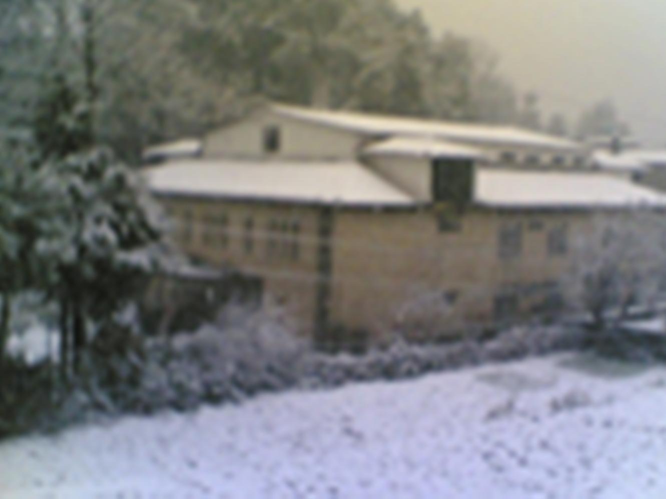 Hotel Langdale Manor Nainital Zewnętrze zdjęcie